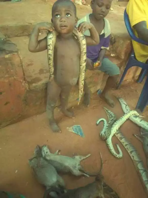 These kids are playing with snakes! (Photos)